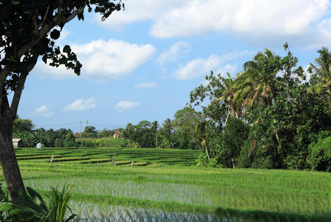 Villa Tamu Seseh à Canggu Extérieur photo